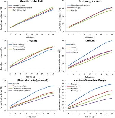 Favourable Lifestyle Protects Cognitive Function in Older Adults With High Genetic Risk of Obesity: A Prospective Cohort Study